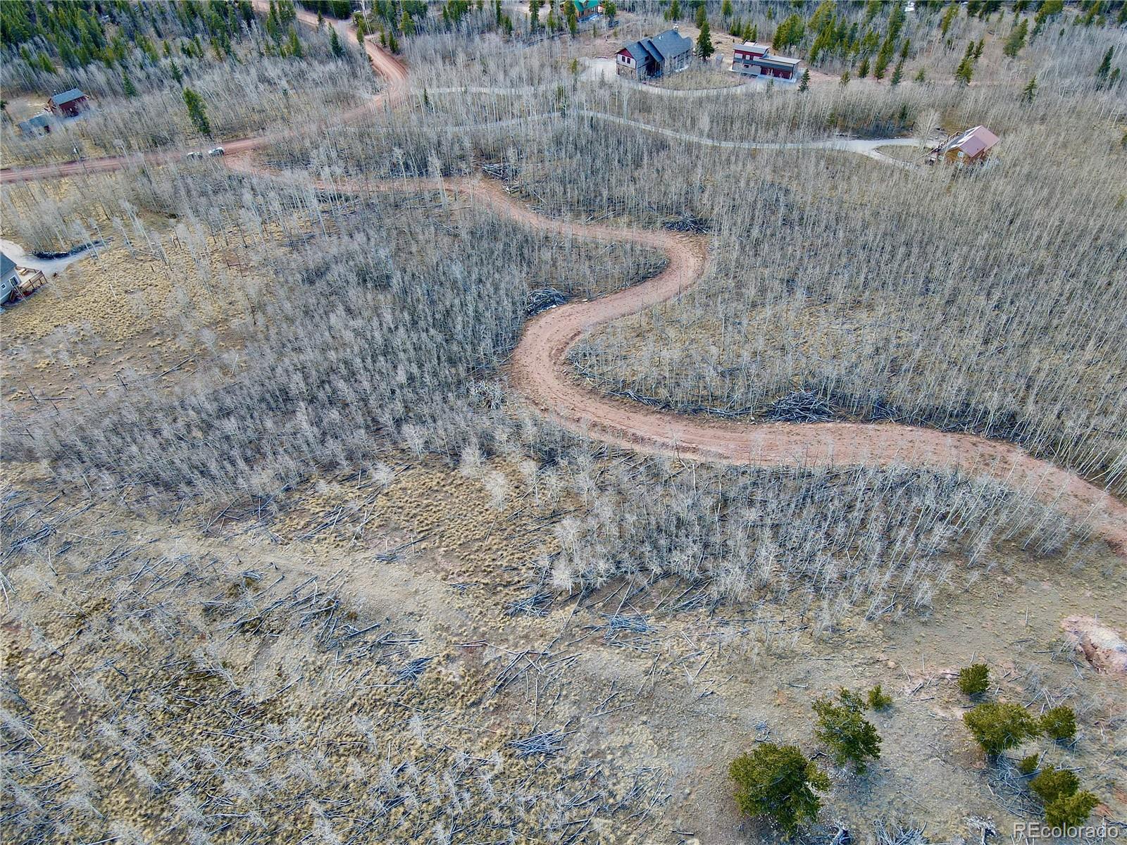 416 Little Baldy Circle Fairplay CO 80440