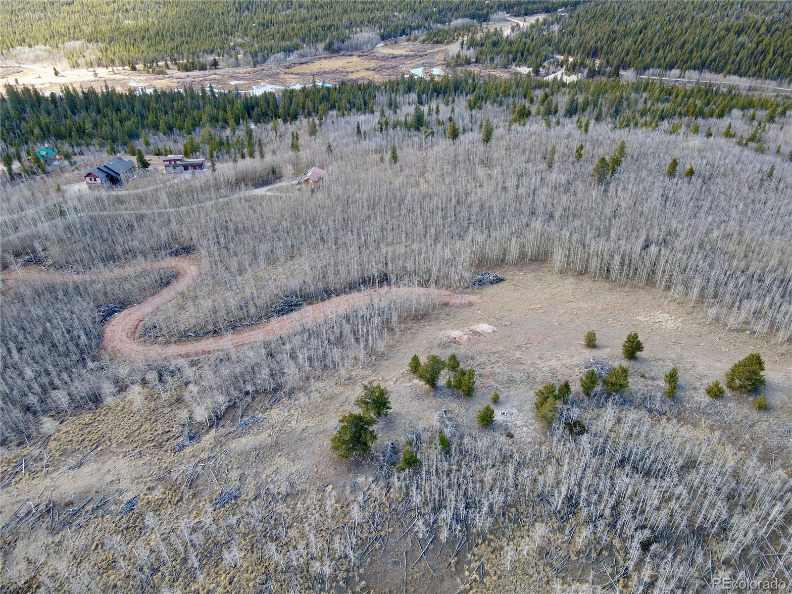 416 Little Baldy Circle Fairplay CO 80440