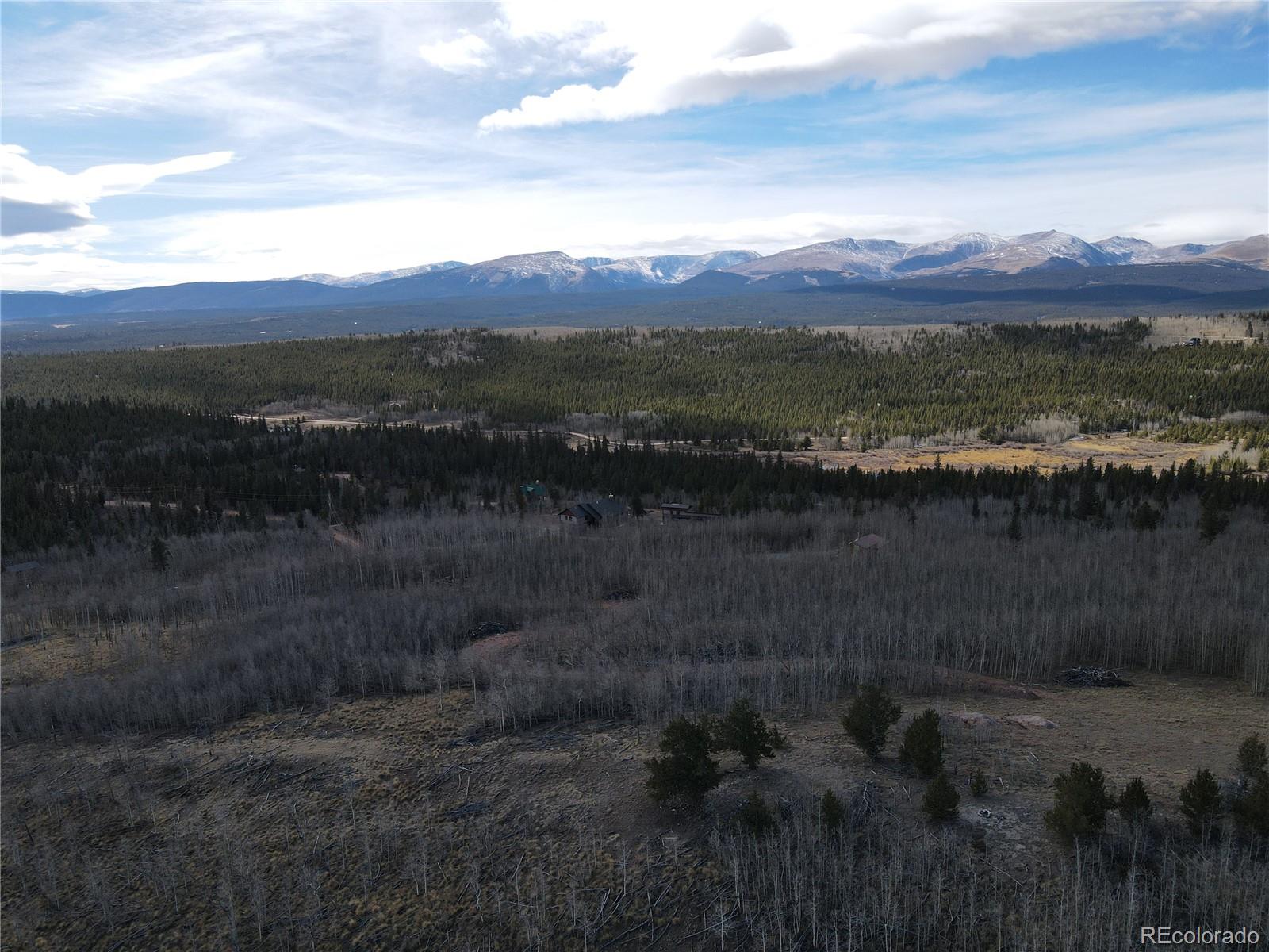 416 Little Baldy Circle Fairplay CO 80440