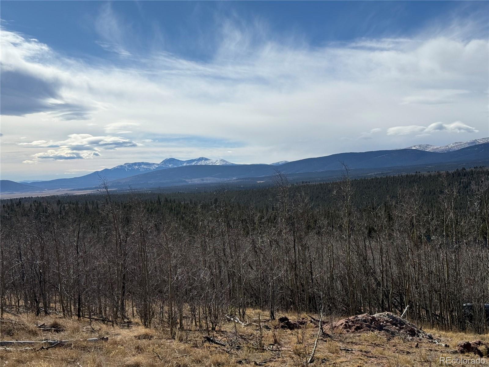 416 Little Baldy Circle Fairplay CO 80440