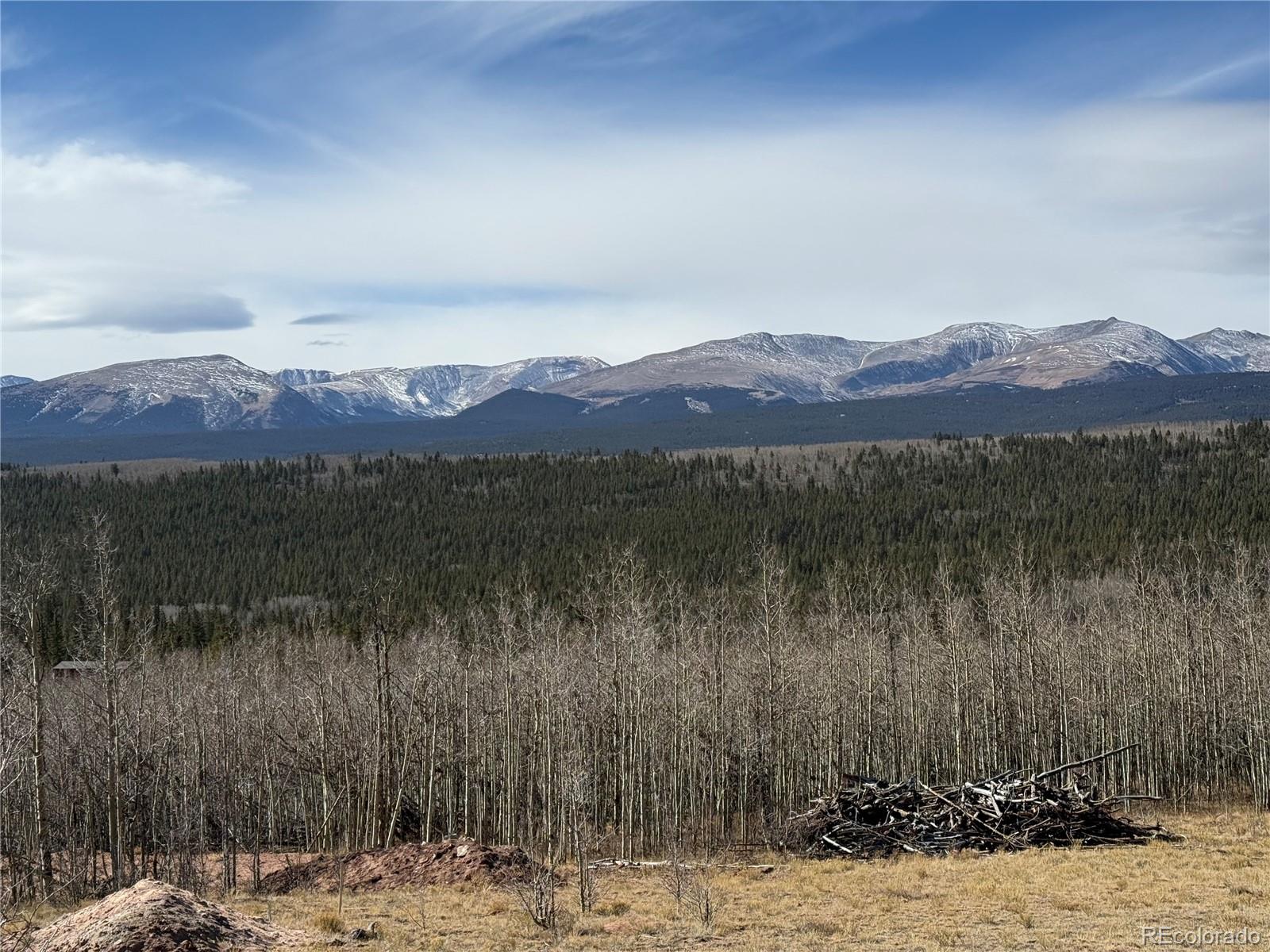 416 Little Baldy Circle Fairplay CO 80440