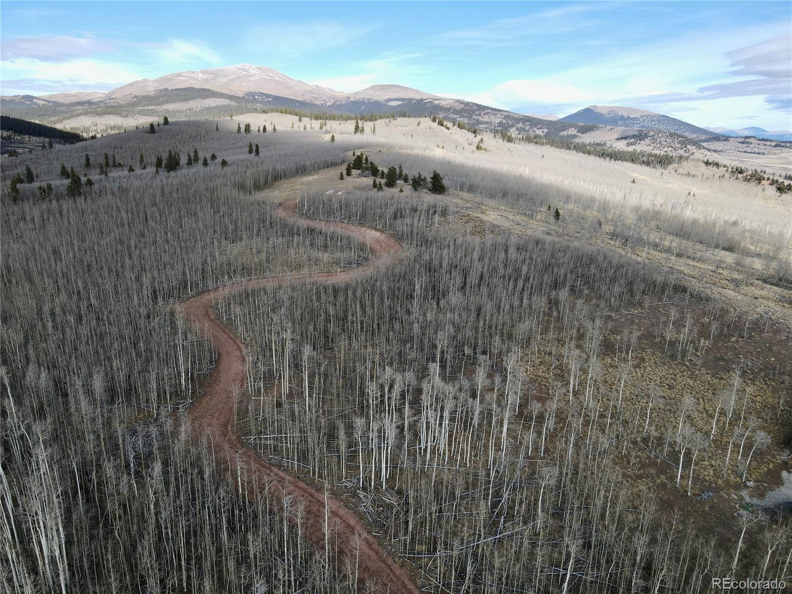 416 Little Baldy Circle Fairplay CO 80440