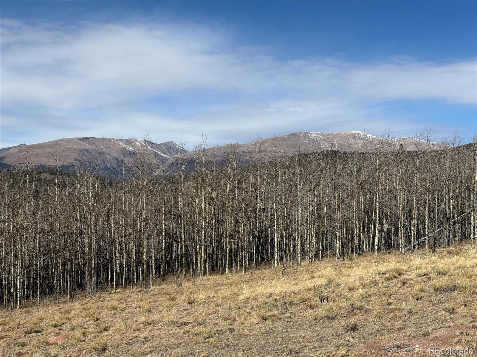 416 Little Baldy Circle Fairplay CO 80440