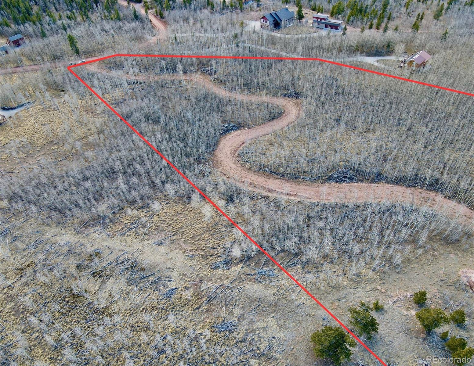 416 Little Baldy Circle Fairplay CO 80440