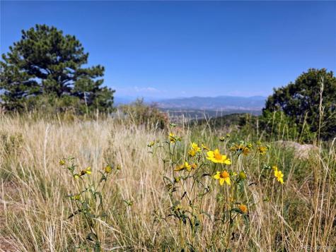 781 Ridgeway Road Cotopaxi CO 81223