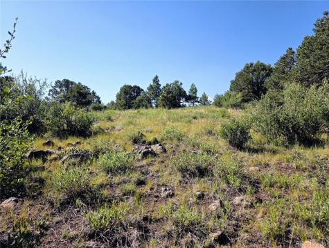 781 Ridgeway Road Cotopaxi CO 81223