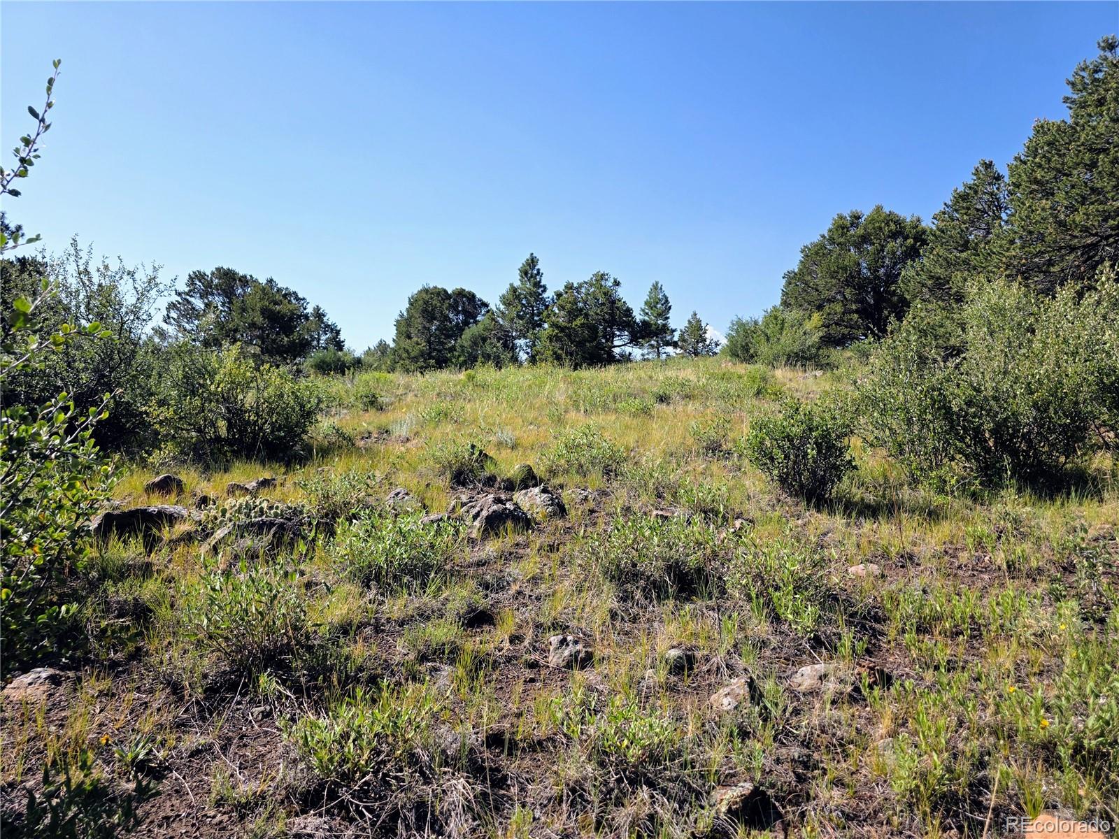 781 Ridgeway Road Cotopaxi CO 81223