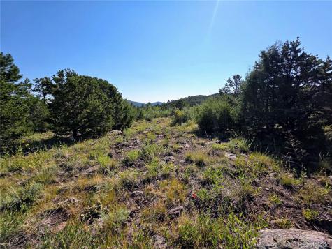 781 Ridgeway Road Cotopaxi CO 81223