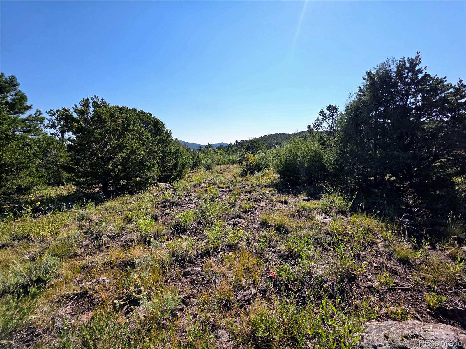 781 Ridgeway Road Cotopaxi CO 81223