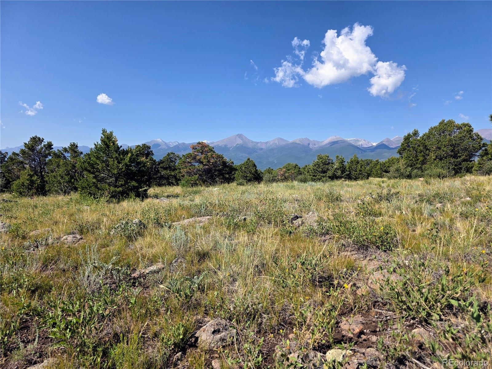 781 Ridgeway Road Cotopaxi CO 81223