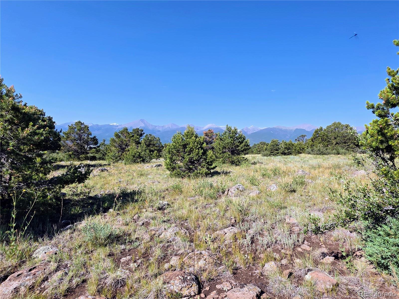 781 Ridgeway Road Cotopaxi CO 81223