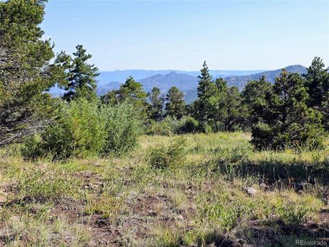 781 Ridgeway Road Cotopaxi CO 81223