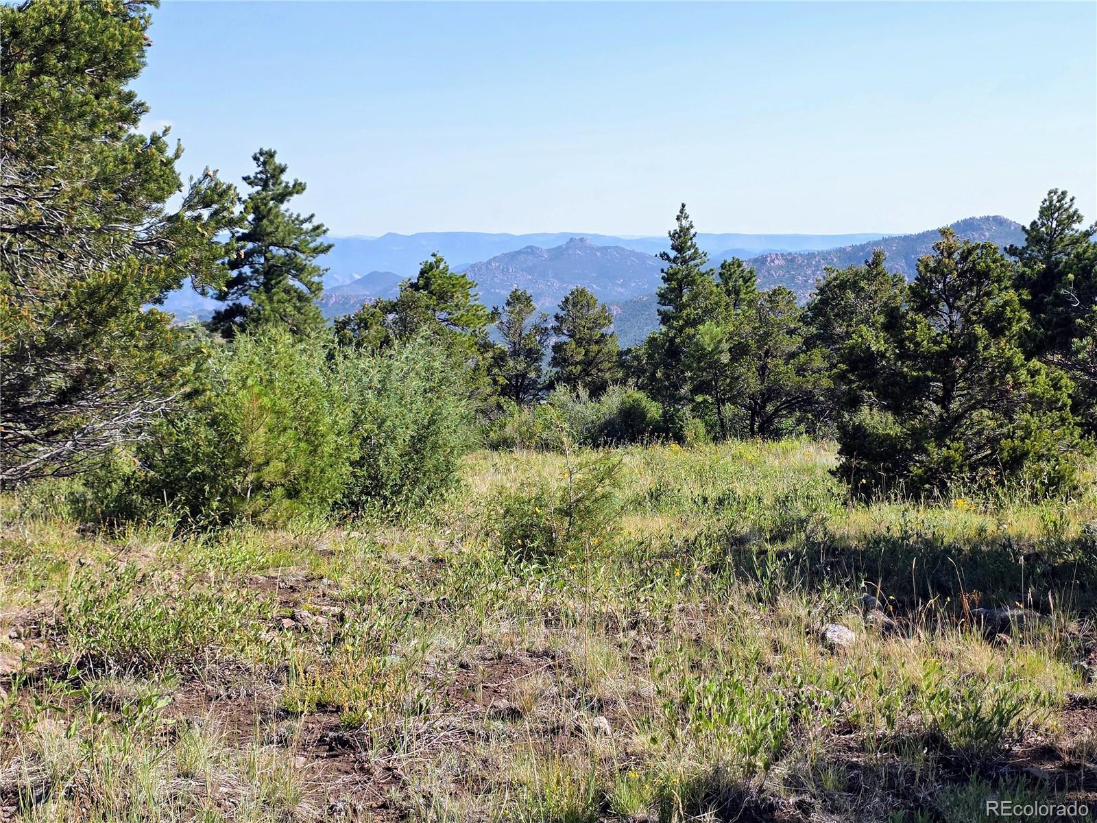 781 Ridgeway Road Cotopaxi CO 81223