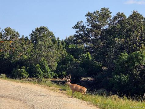 781 Ridgeway Road Cotopaxi CO 81223