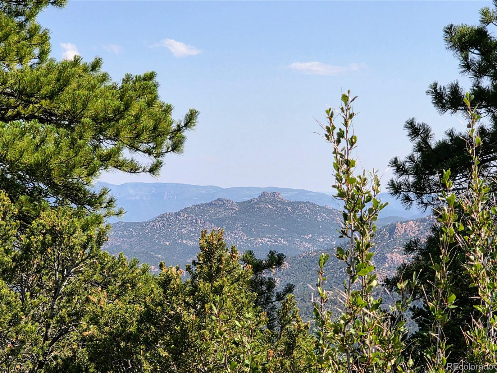 781 Ridgeway Road Cotopaxi CO 81223
