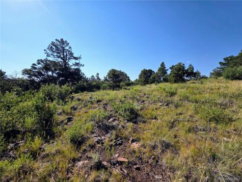 781 Ridgeway Road Cotopaxi CO 81223