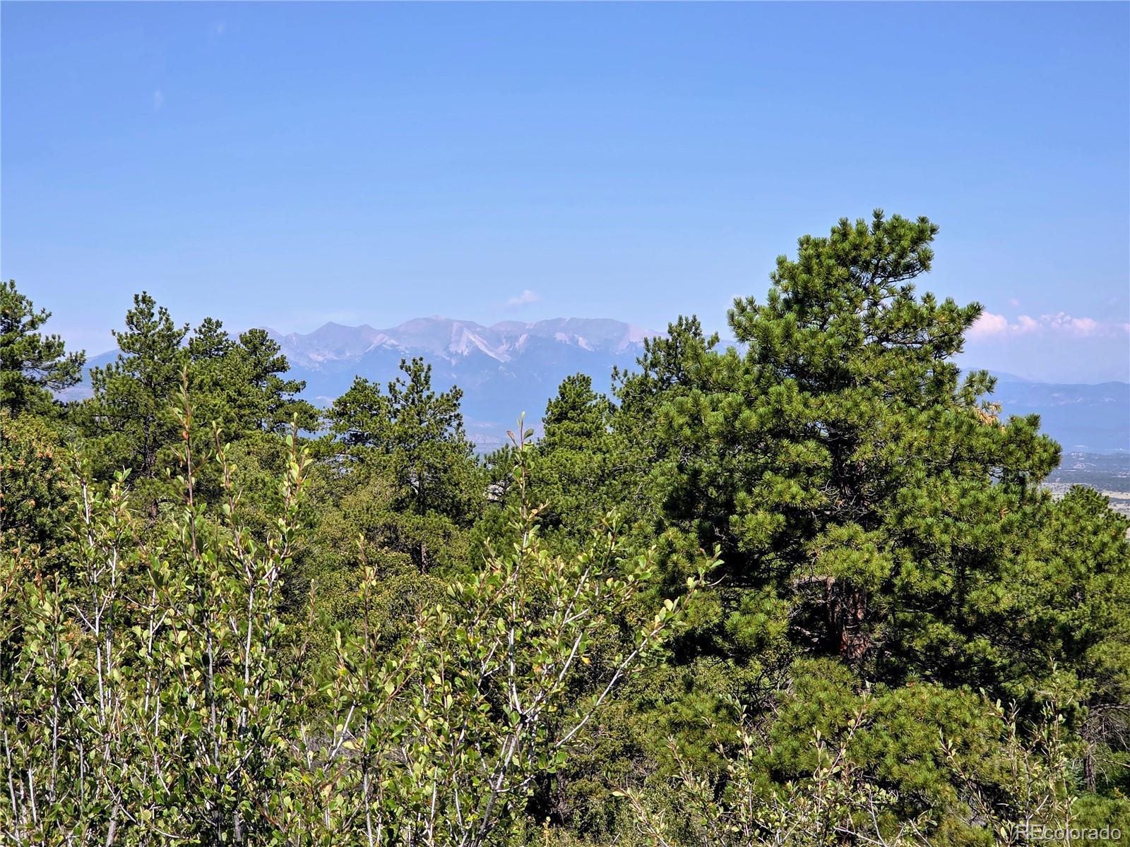 781 Ridgeway Road Cotopaxi CO 81223