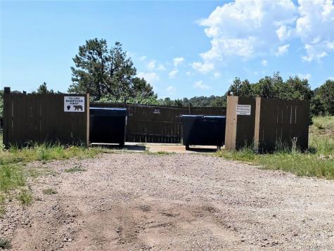 781 Ridgeway Road Cotopaxi CO 81223