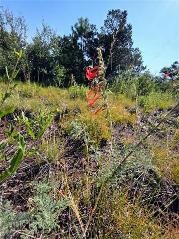 781 Ridgeway Road Cotopaxi CO 81223