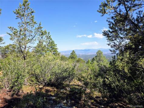 781 Ridgeway Road Cotopaxi CO 81223