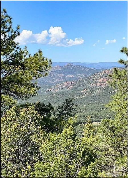 781 Ridgeway Road Cotopaxi CO 81223