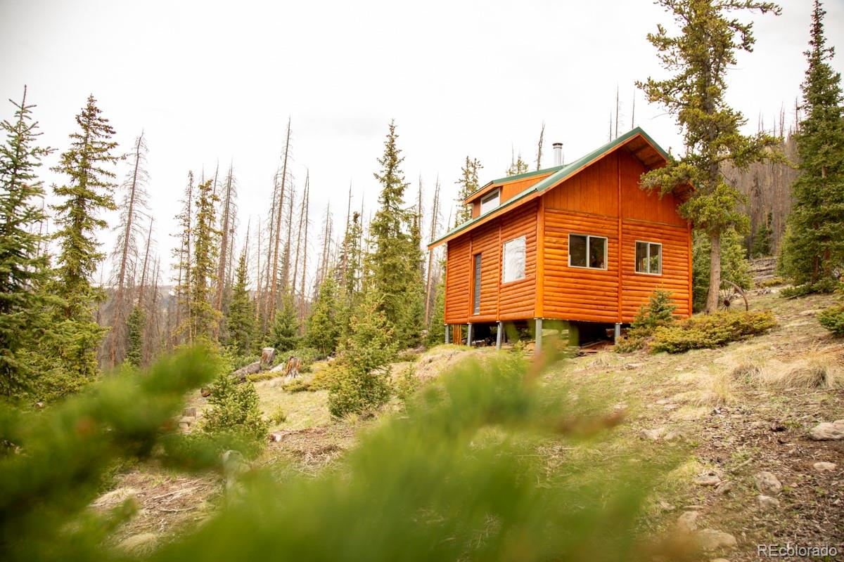 3190 Forest Road 503 Creede CO 81130