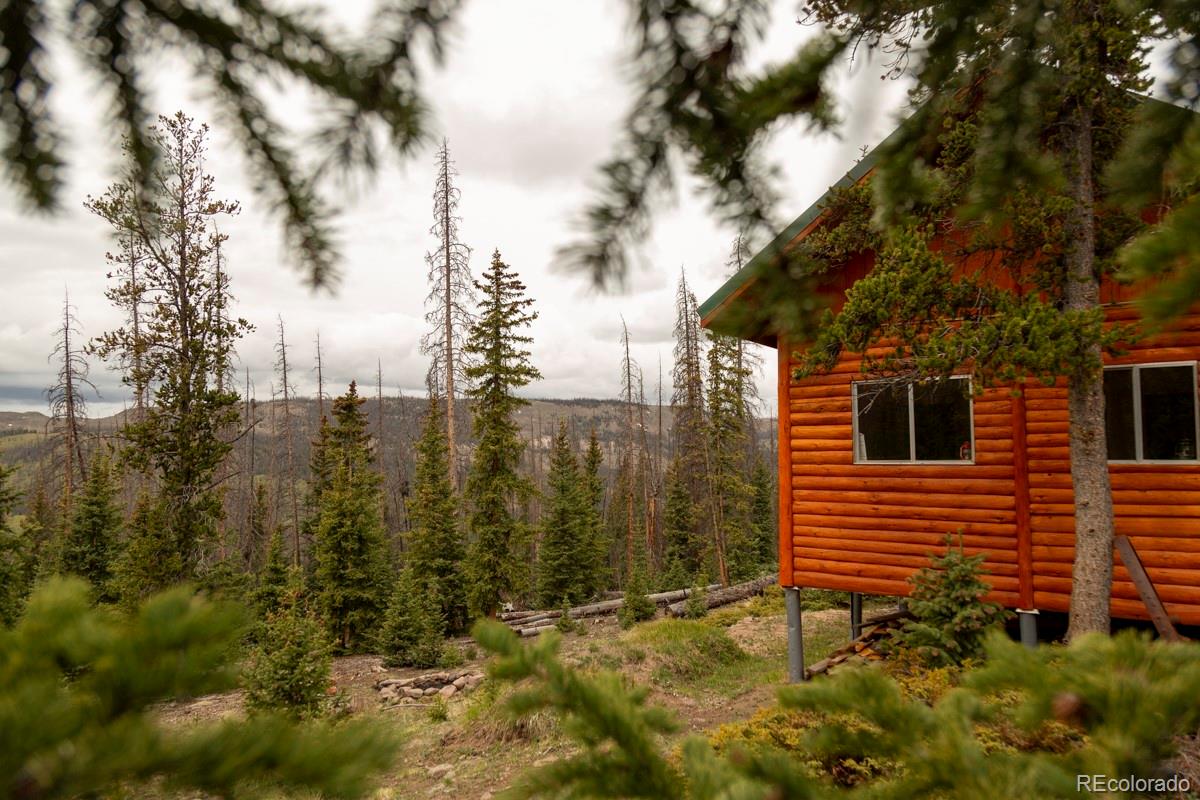 3190 Forest Road 503 Creede CO 81130
