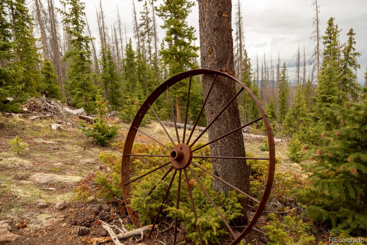 3190 Forest Road 503 Creede CO 81130
