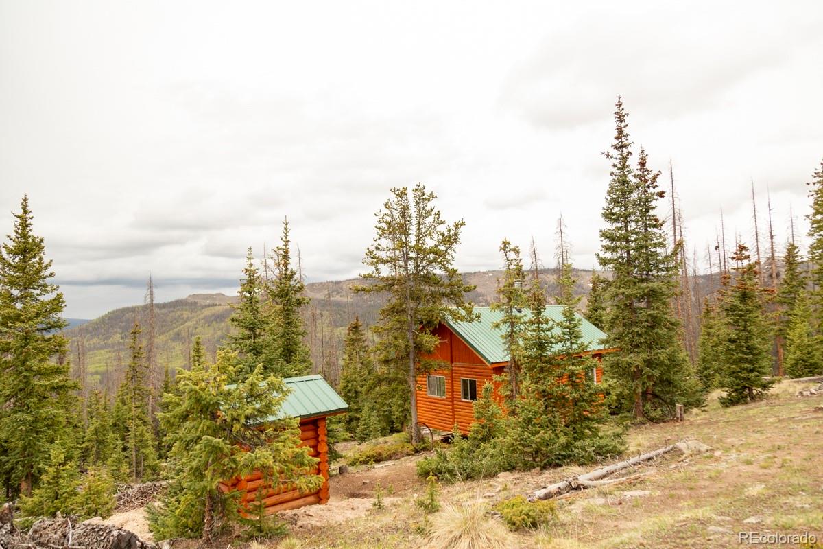 3190 Forest Road 503 Creede CO 81130