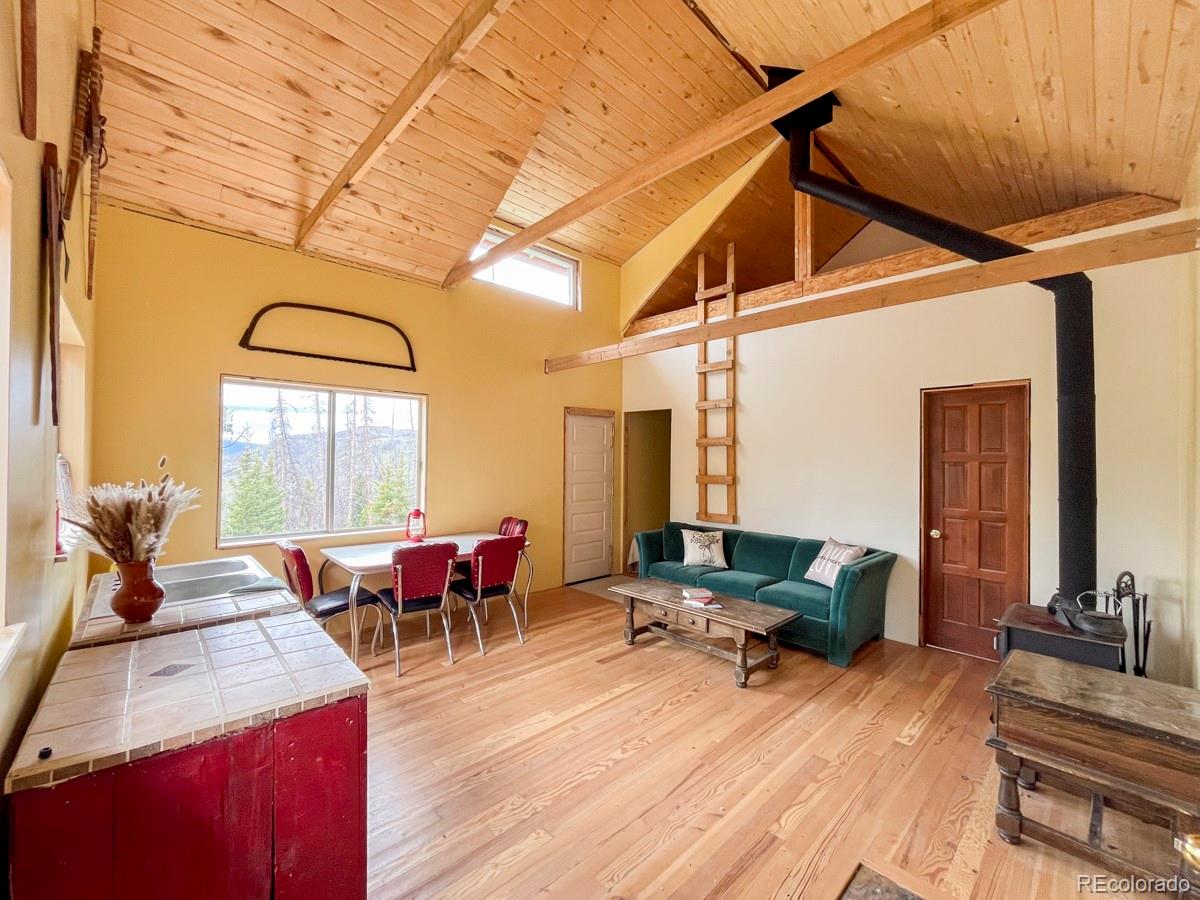 3190 Forest Road 503 Creede CO 81130