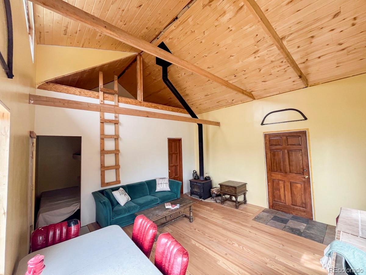 3190 Forest Road 503 Creede CO 81130