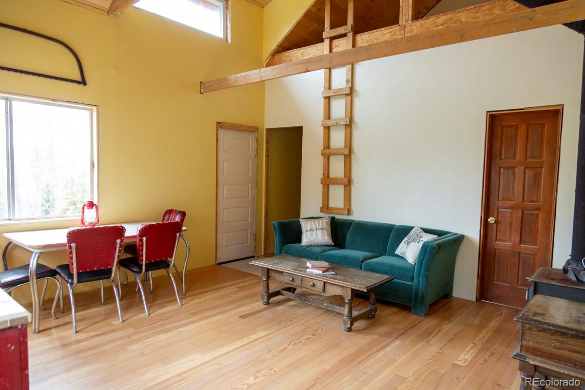 3190 Forest Road 503 Creede CO 81130