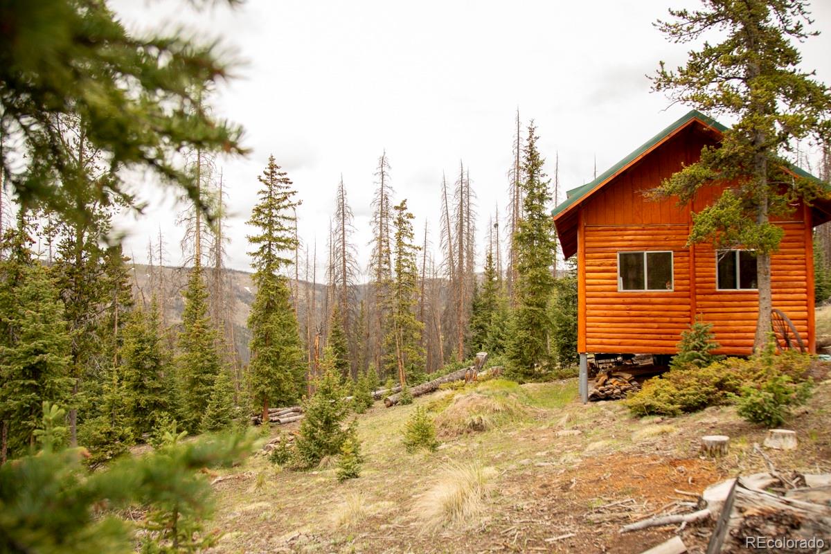 3190 Forest Road 503 Creede CO 81130