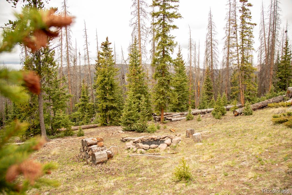 3190 Forest Road 503 Creede CO 81130