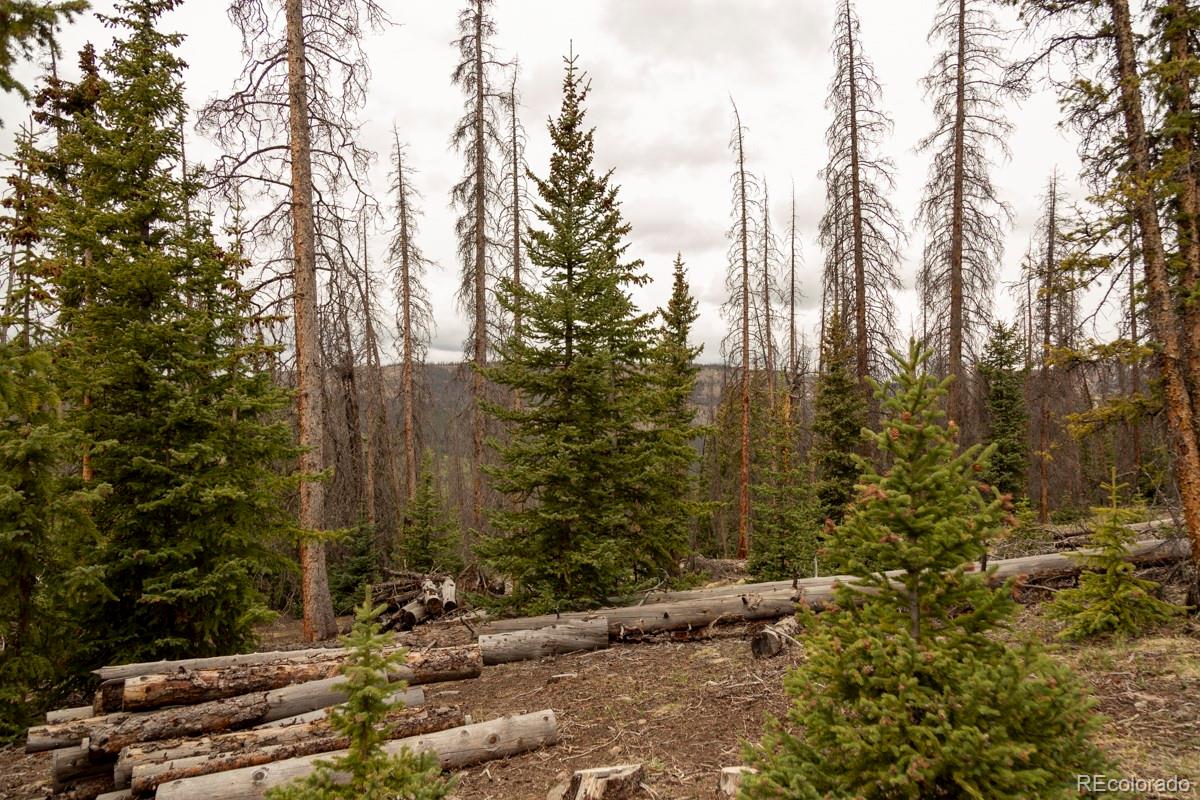 3190 Forest Road 503 Creede CO 81130