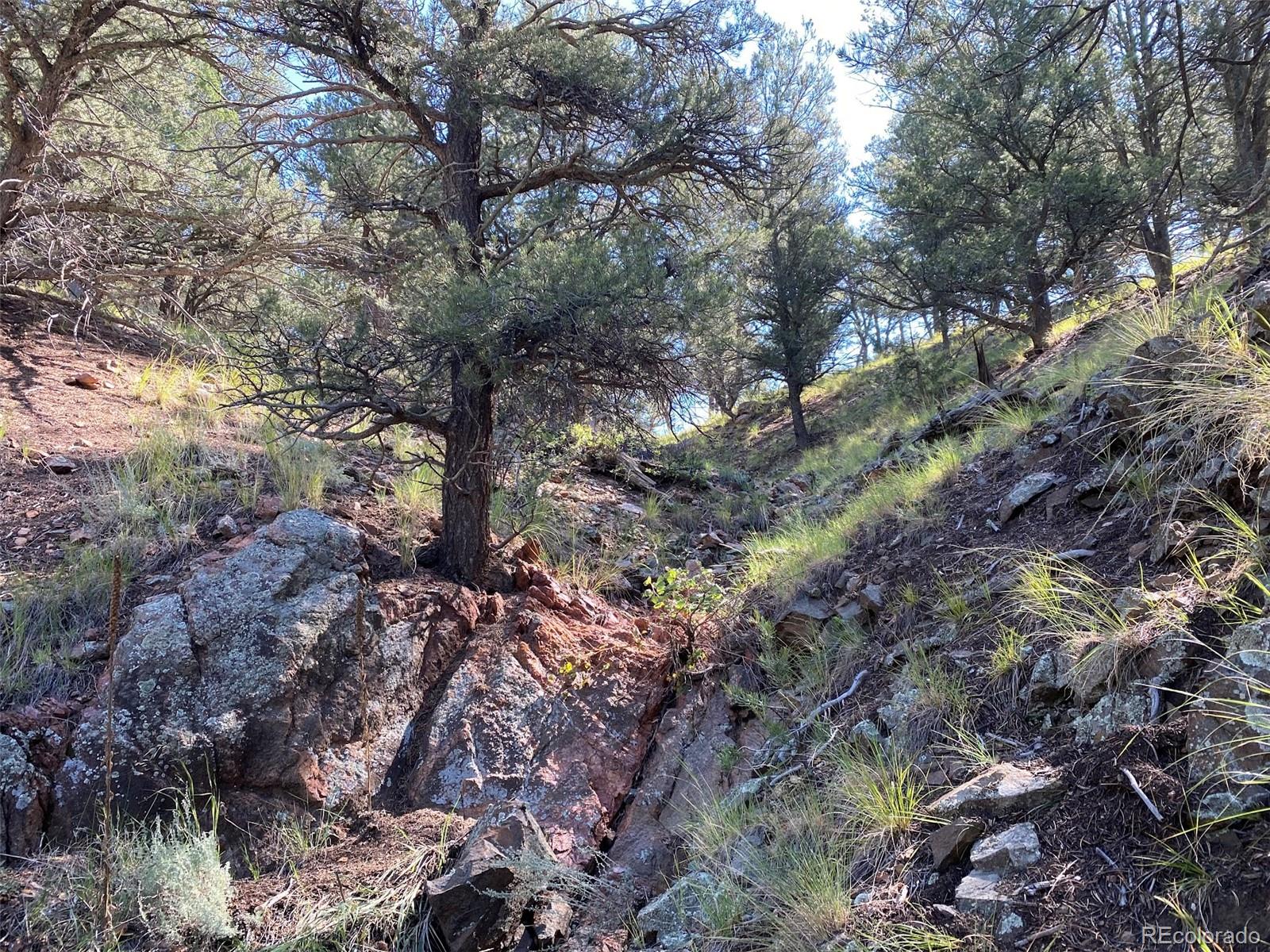 12550 9 Canon City CO 81212