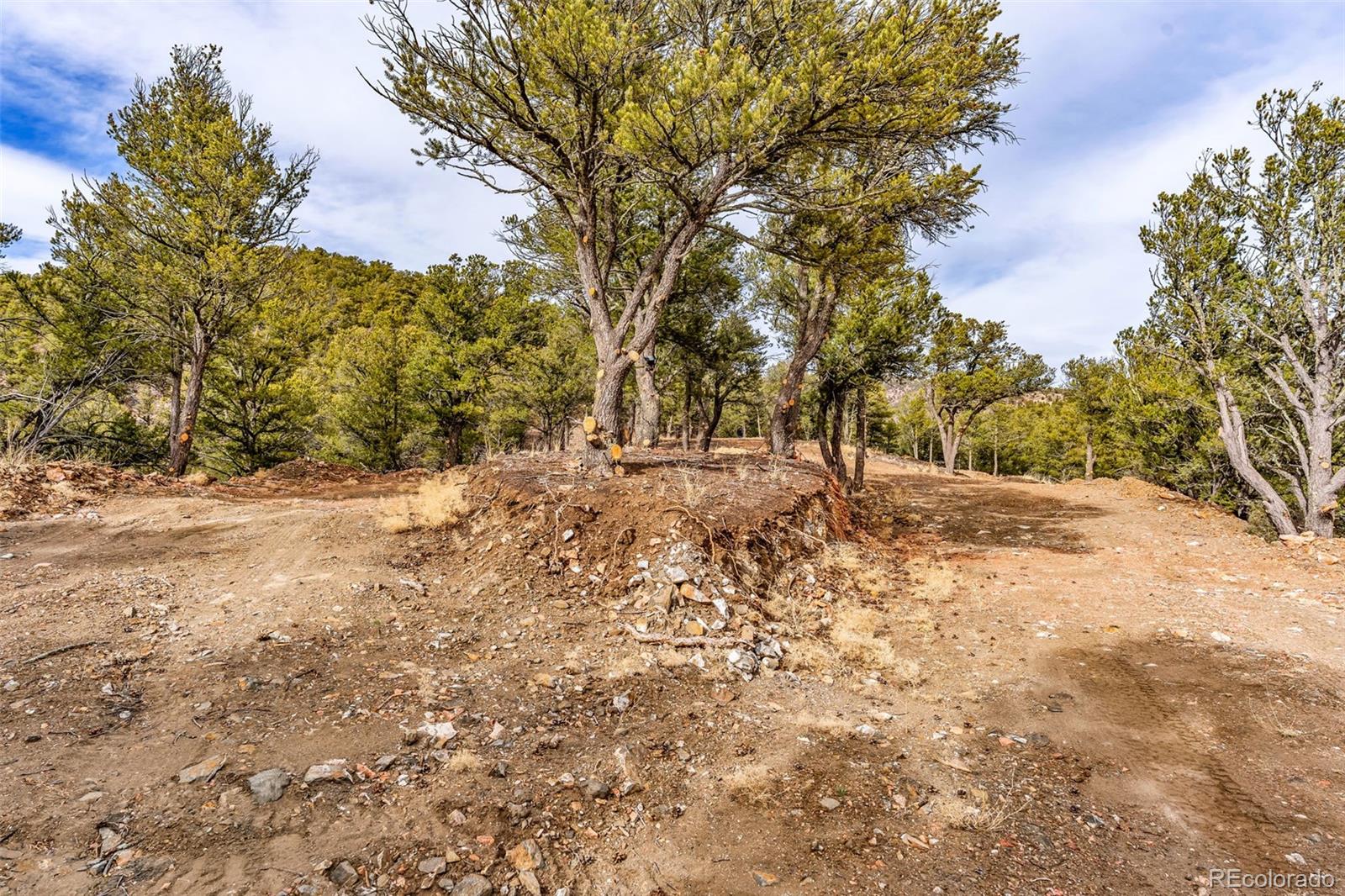 12550 9 Canon City CO 81212