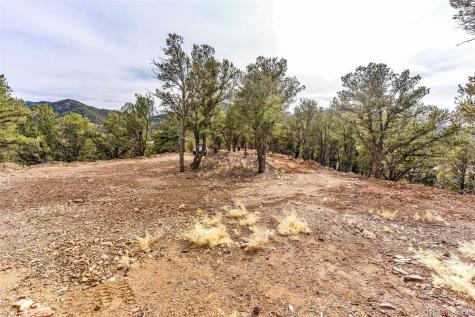 12550 9 Canon City CO 81212