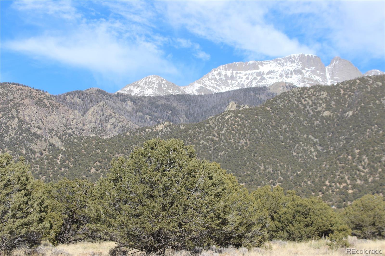 3233 Camino Del Rey Crestone CO 81131