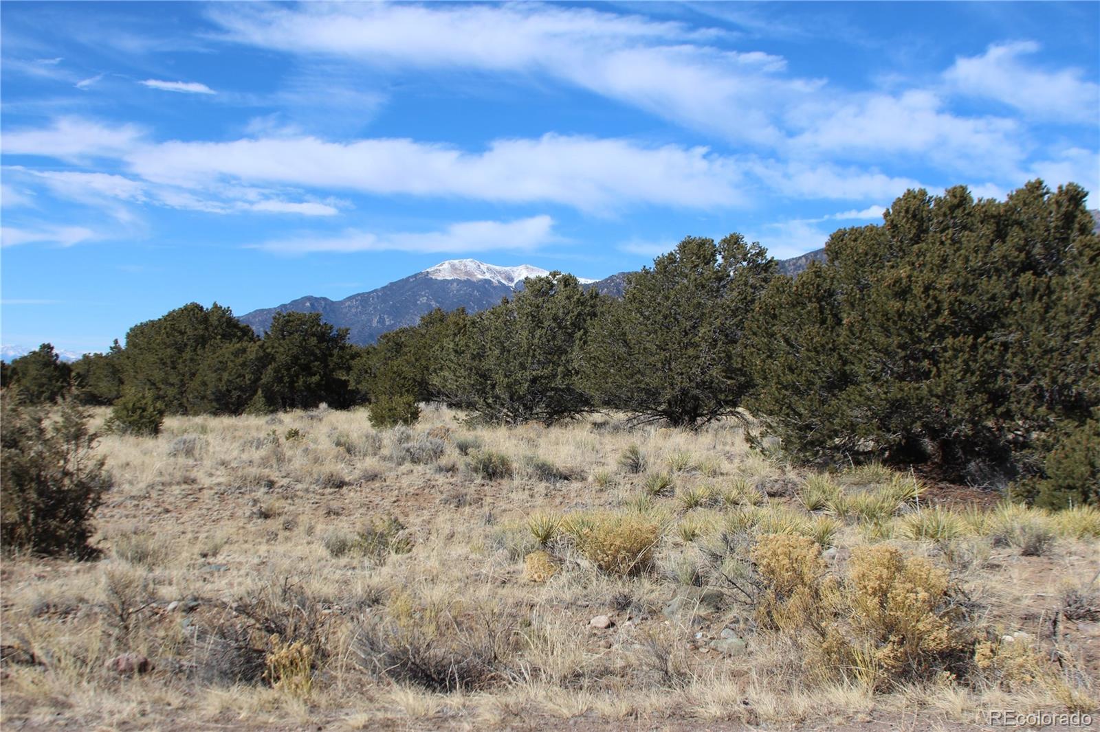 3233 Camino Del Rey Crestone CO 81131