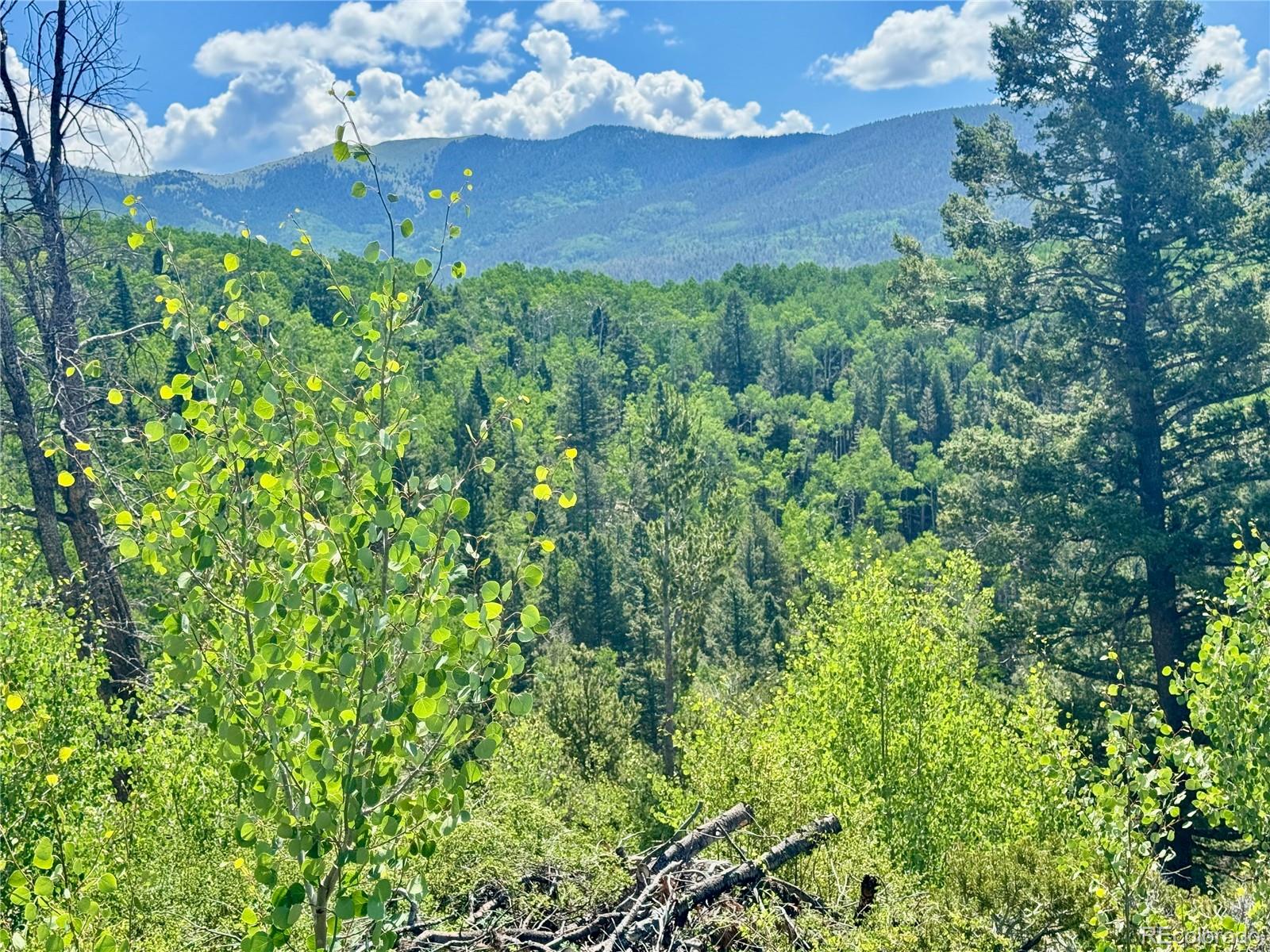 Lot 5850 Richardson Road Fort Garland CO 81152