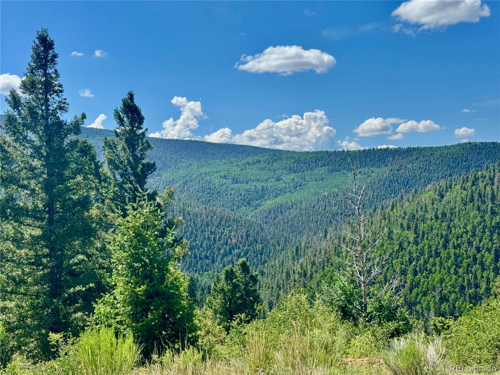 Lot 5850 Richardson Road Fort Garland CO 81152