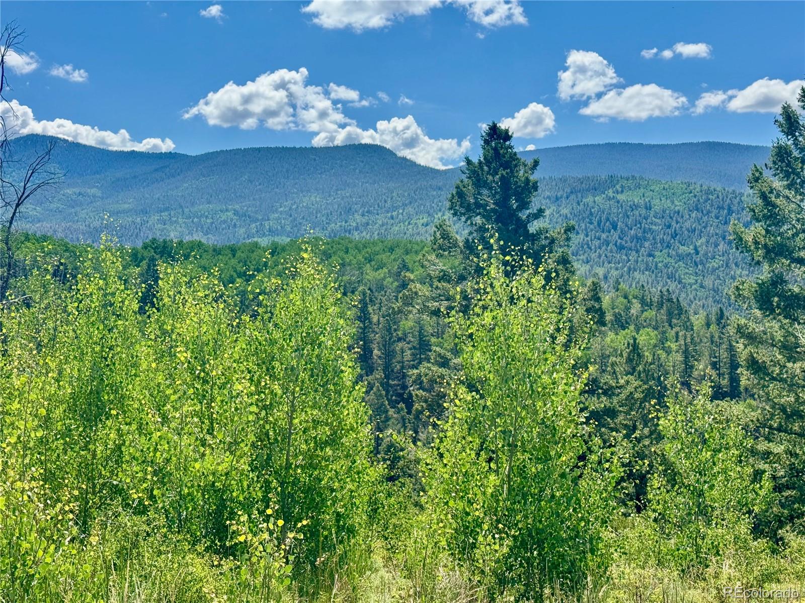 Lot 5850 Richardson Road Fort Garland CO 81152