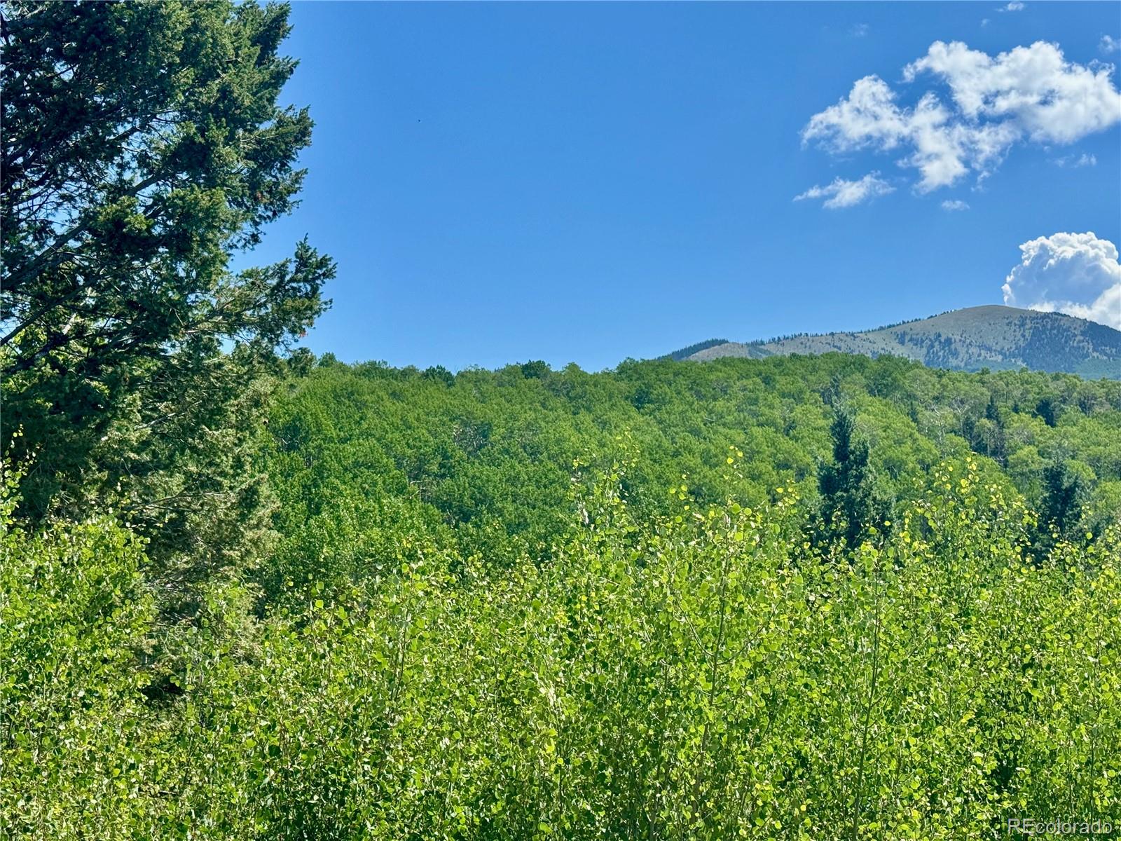 Lot 5850 Richardson Road Fort Garland CO 81152