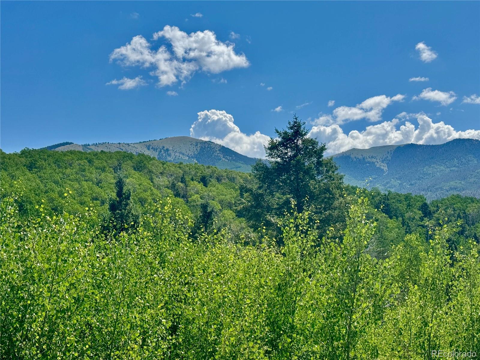 Lot 5850 Richardson Road Fort Garland CO 81152