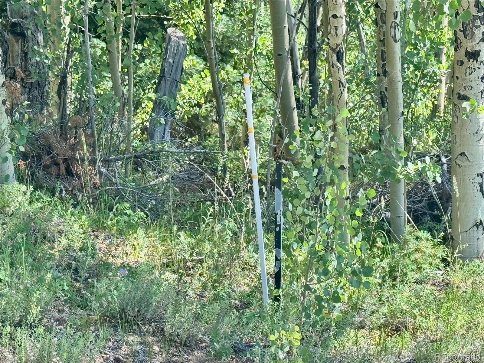 Lot 5850 Richardson Road Fort Garland CO 81152