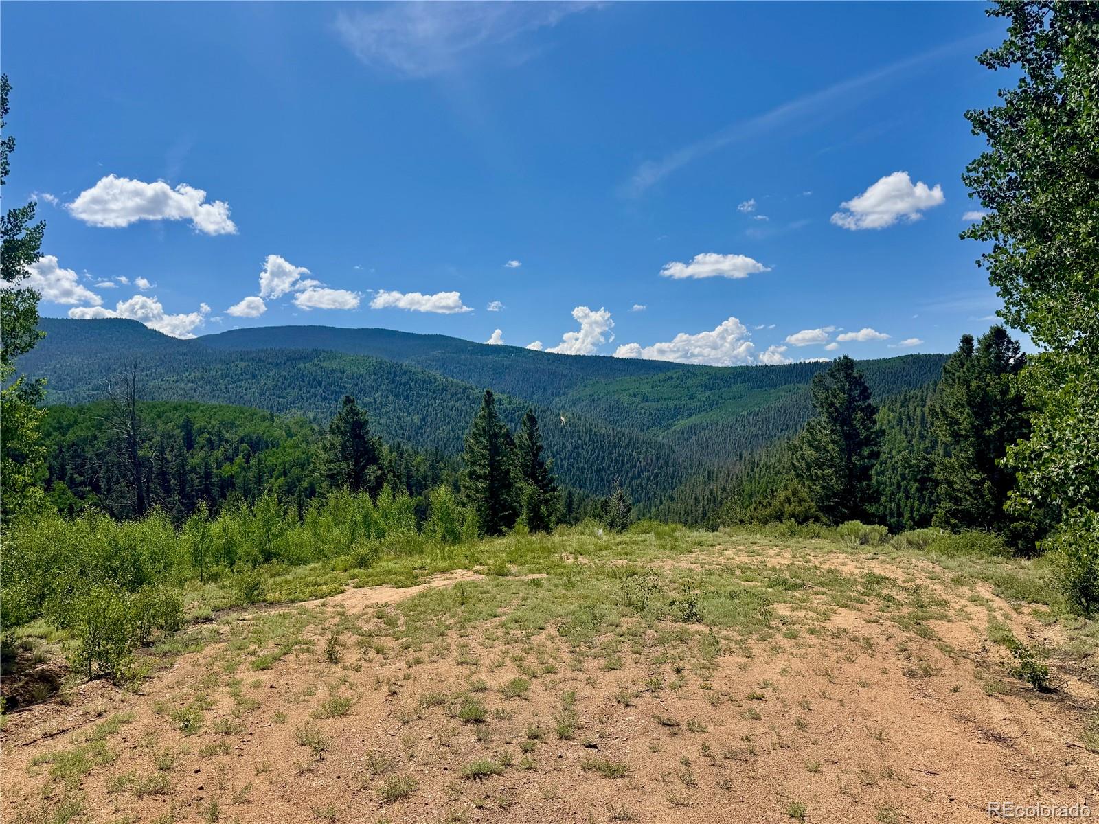 Lot 5850 Richardson Road Fort Garland CO 81152