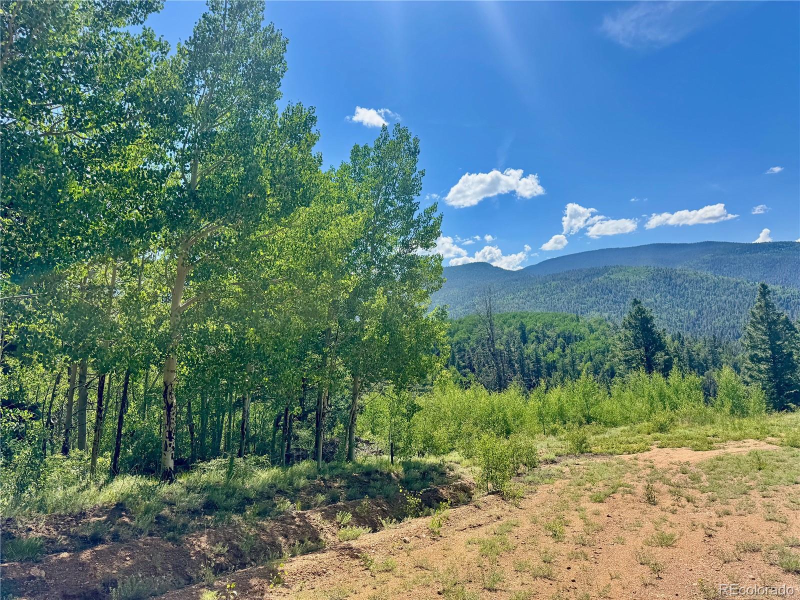 Lot 5850 Richardson Road Fort Garland CO 81152