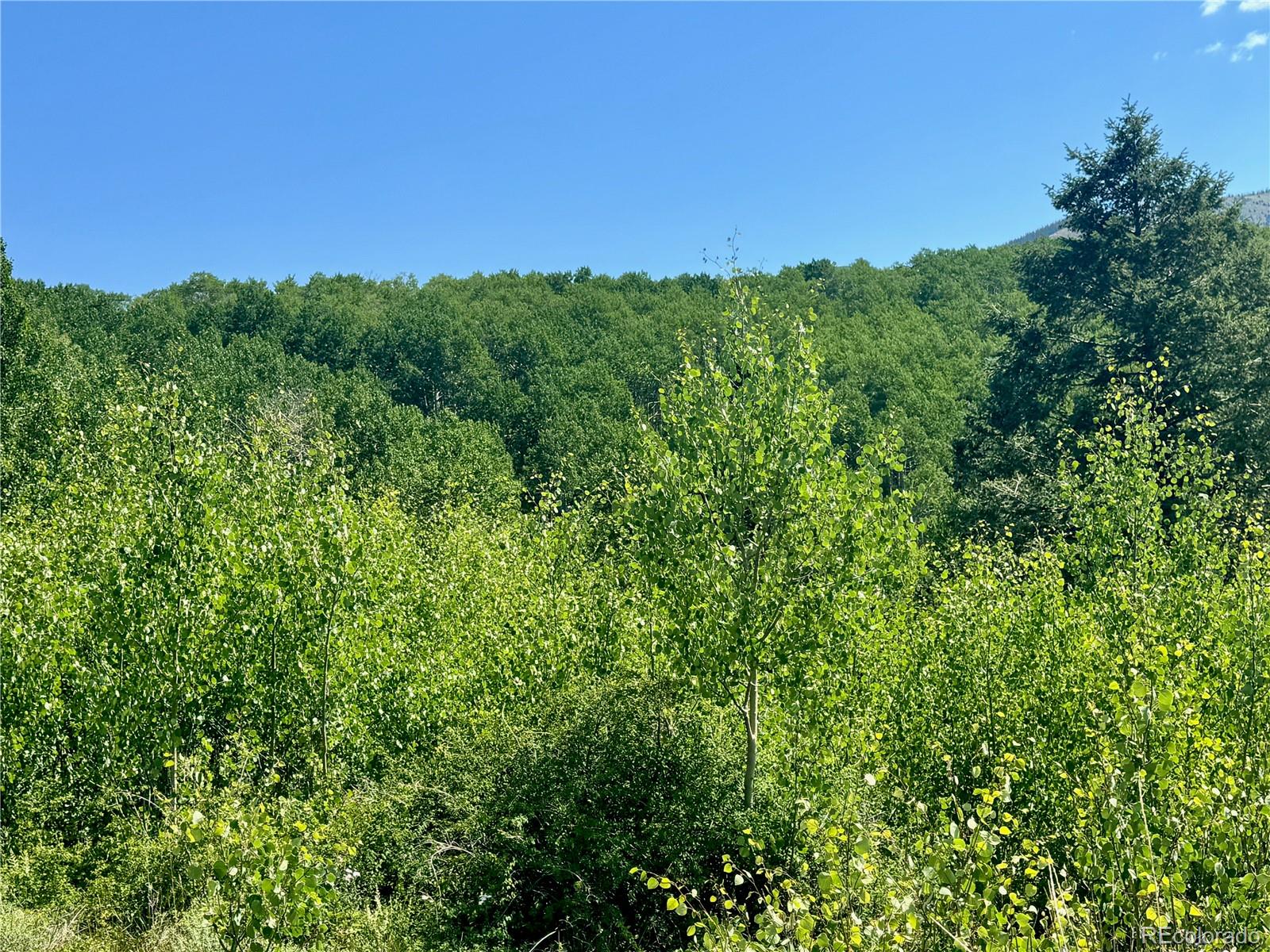 Lot 5850 Richardson Road Fort Garland CO 81152