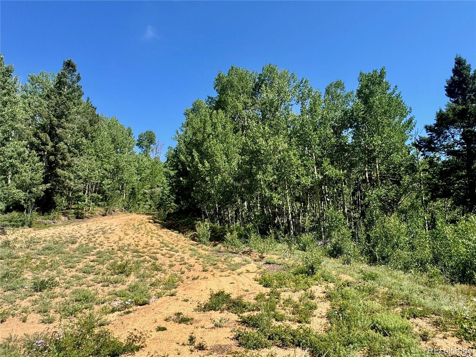 Lot 5850 Richardson Road Fort Garland CO 81152